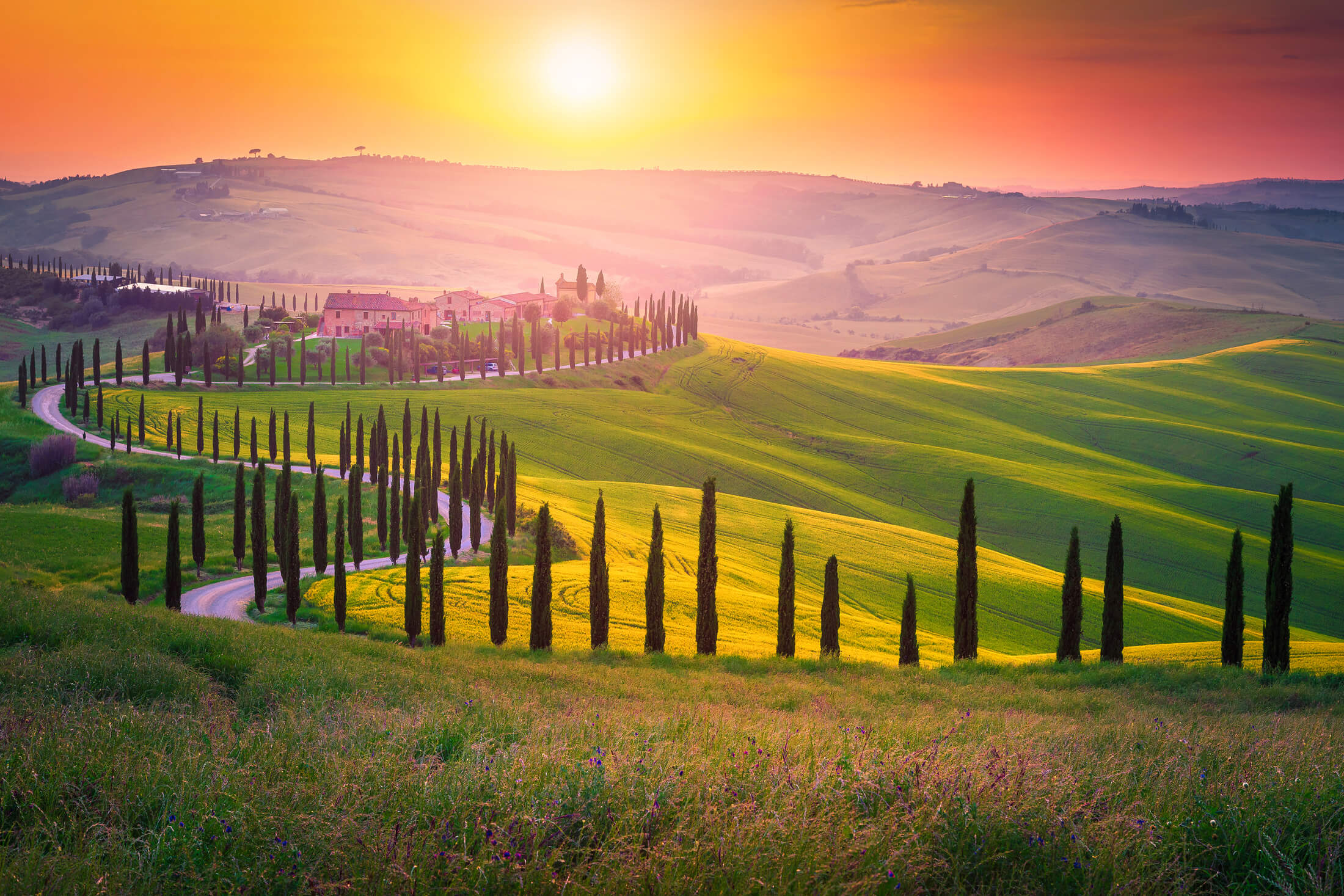 Coucher de soleil en Toscane, Italie, sur une route bordée de cyprès