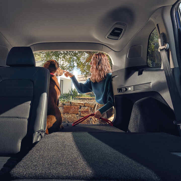 Arrière du Honda CR-V hybride avec sièges arrière rabattus et un chien dans le coffre.