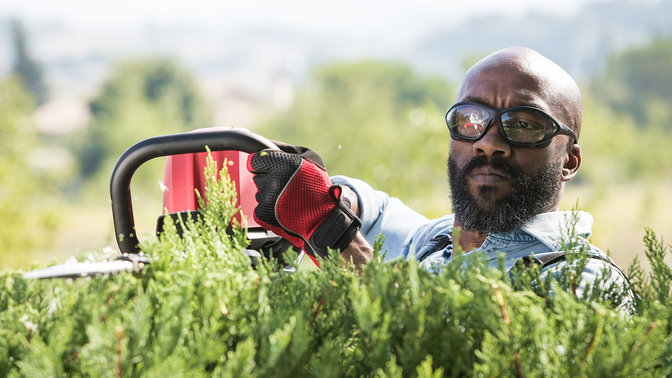 Model trimming the top of a bush with a Honda cordless hedge trimmer. 