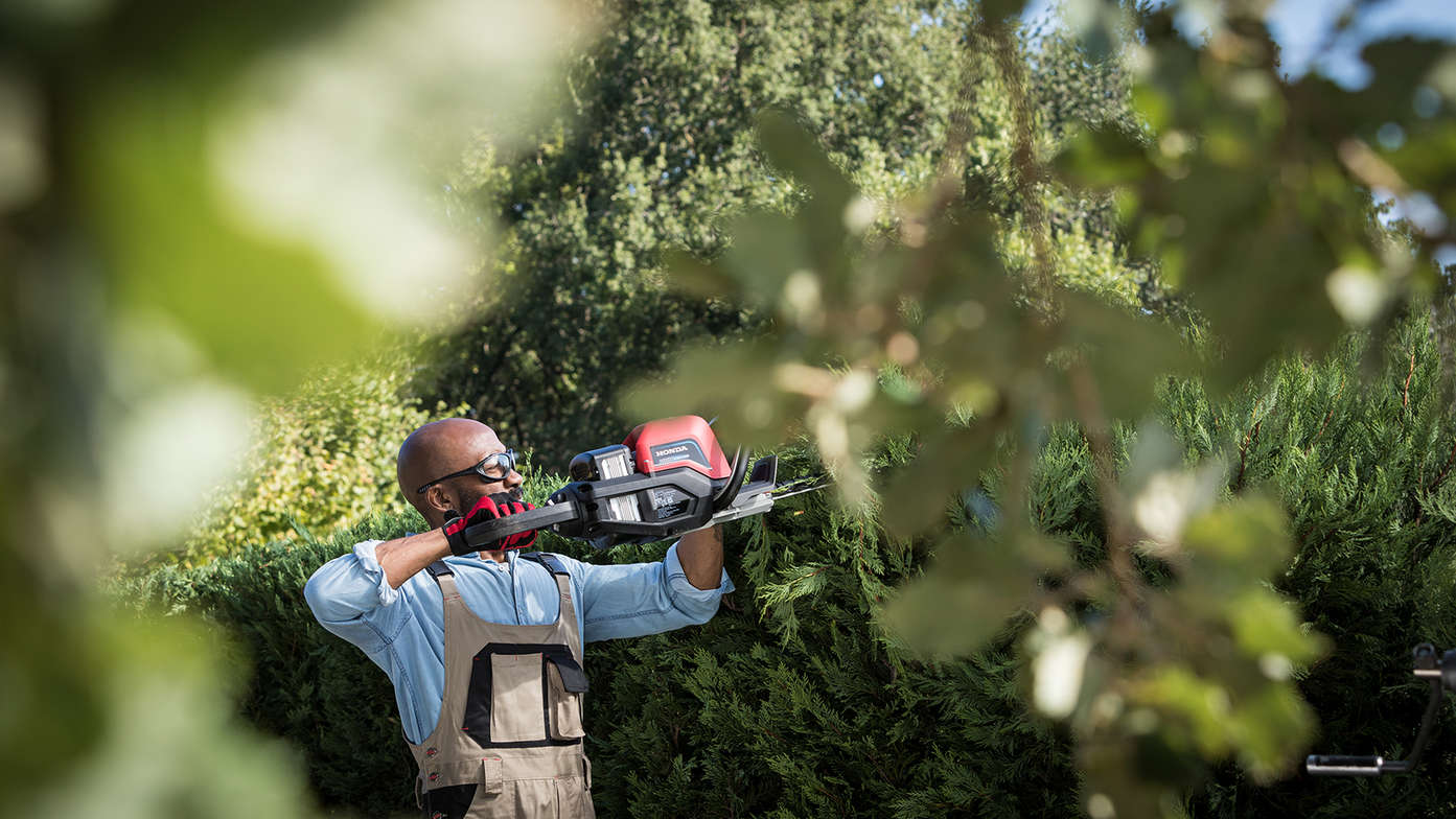 Model holding Honda's cordless hedge trimmer in a garden.