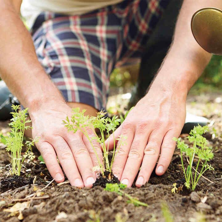 Gros plan sur des mains en train de planter des éléments dans le sol.