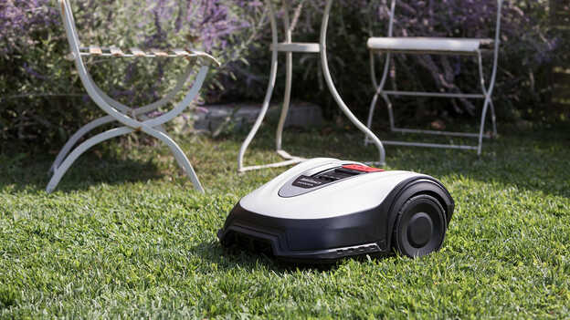 Miimo sur du gazon dans un jardin devant des meubles.