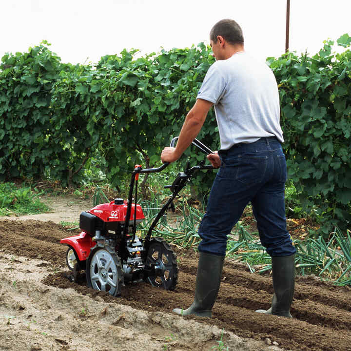 Motobineuse à outils rotatifs dans un champ