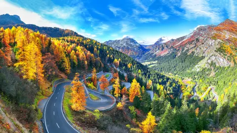 Vue imprenable sur la route du col de Maloja à l’automne. Scène aux couleurs d’automne dans les Alpes suisses. Lieu : Col de Maloya, région de l’Engadine, canton des Grisons, Suisse, Europe