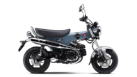ST125 DAX 2023 Gris