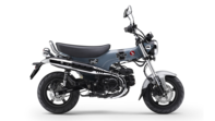 ST125 DAX 2024 Gris