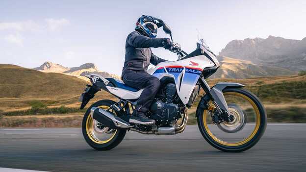 Pantalon de protection