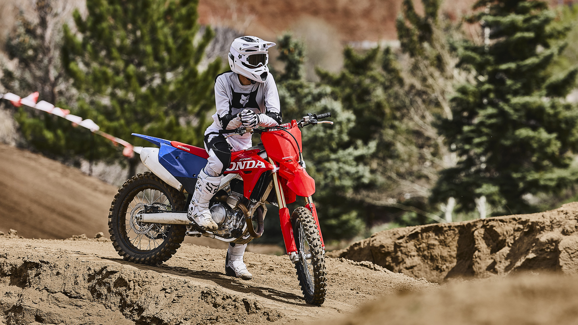 CRF450R Showa Rear Shock & Pro-Link