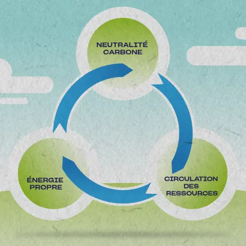 Neutralité carbone